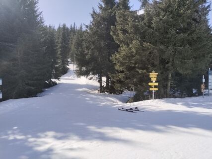 Foto de Raoul Nicolas a lo largo del recorrido