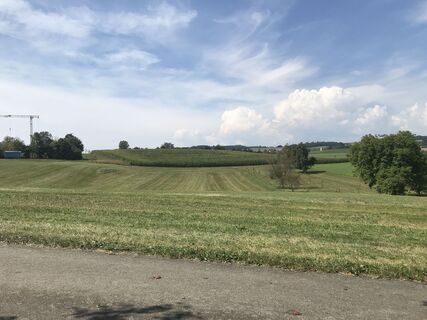 Photo de Annette Manz le long du parcours