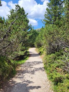 Photo de Judith Mairhofer le long du parcours