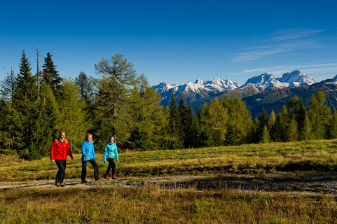 Wandern