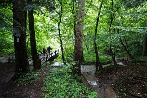 Beutental