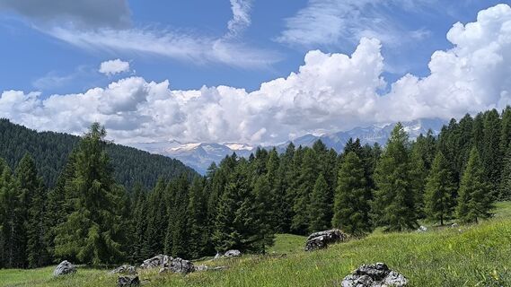 Foto van Roberto Branzanti langs de tour