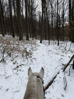 Photo de FelixH le long du parcours