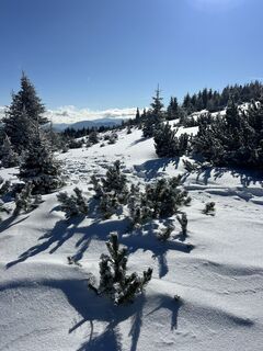 Photo de Bernhard Dr. Rotter le long du parcours