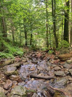 Fotó a El_Gamso honlapról a túra során