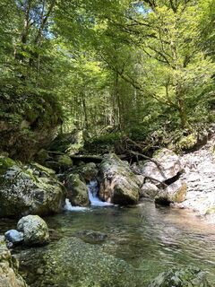 Foto de Konrád Kékesi a lo largo del recorrido