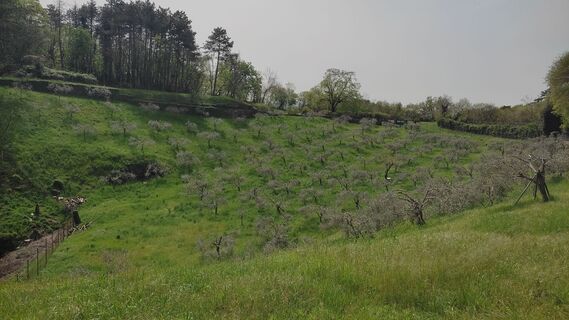 Fotografia z WilliSt na trase