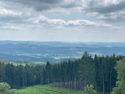 Sauerland-Waldroute