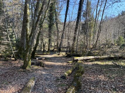 Foto von Roland Schwab entlang der Tour