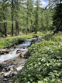 Photo de Laurence Fournier le long du parcours