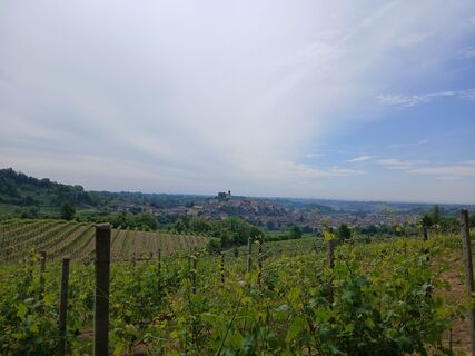 Foto von Luca Dainese entlang der Tour