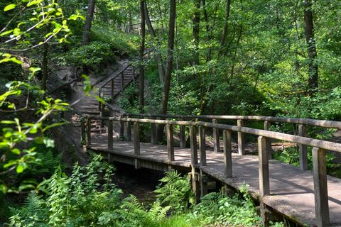 Emsquelle in Schloß Holte-Stukenbrock