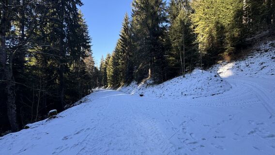 Photo de peter_oe le long du parcours