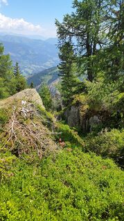 Fotografia z owspu2stk na trase