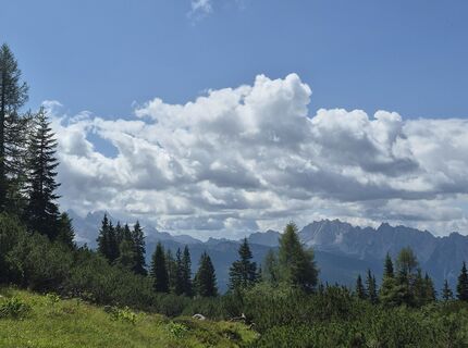 Foto de Reise5 Koenigin a lo largo del recorrido