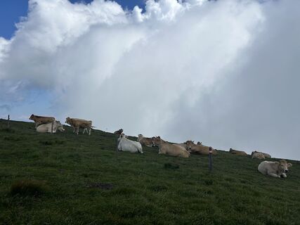 Photo de Patrick Scherb (Grillanzuender94) le long du parcours