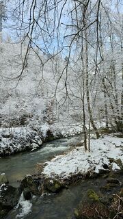 Photo de Veronika Strauss le long du parcours