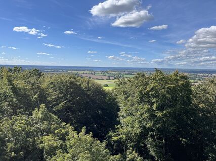 Foto da Andreas Krause lungo il tour