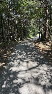 Photo de Broedi le long du parcours