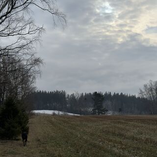 Fotografie z Steffen Kiesel na trase