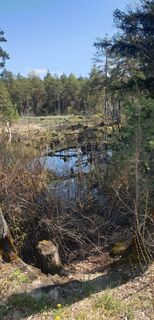 Zdjęcie z Ingeborg Maislinger wzdłuż trasy