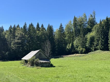 Foto von Denise Miller entlang der Tour