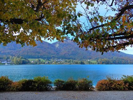 Fuschl a. See - Filblingsee - Faistenau - Strubklamm - Ebenau