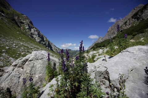 Fotografie z Thomas Pfänder na trase