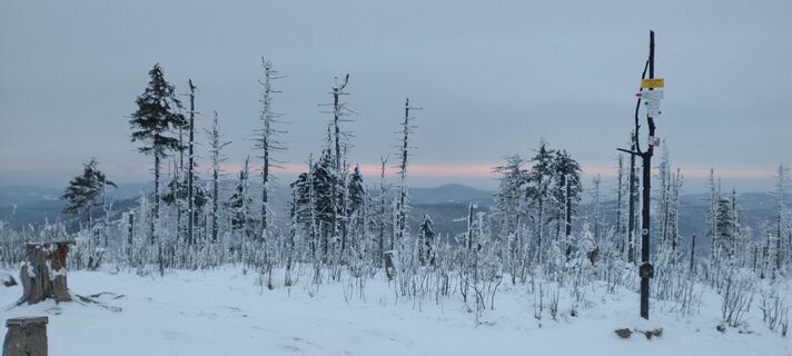 Foto de Sylwiasuchy76 a lo largo del recorrido