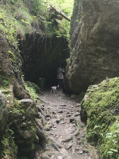 Fotografija s spletne strani Waldläufer na poti