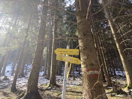 Foto von Peter Endl entlang der Tour