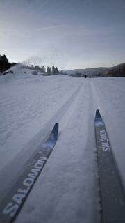 Foto von Mirko Stefani entlang der Tour