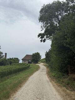 Foto von Sandra Koelbl entlang der Tour