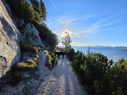 Foto von MRDL entlang der Tour