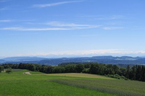 Blick zu den Alpen