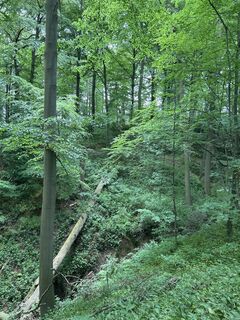 Foto von Robert Christiaans entlang der Tour