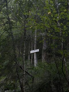 Photo de Elisabeth Pöttler le long du parcours
