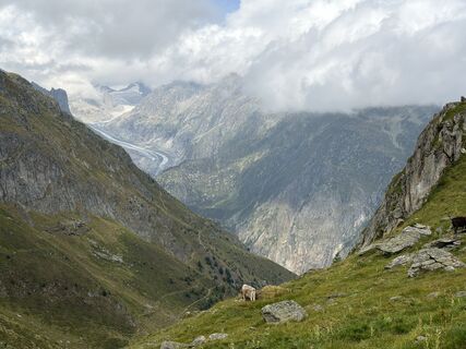 Foto von Hartwig Trost entlang der Tour