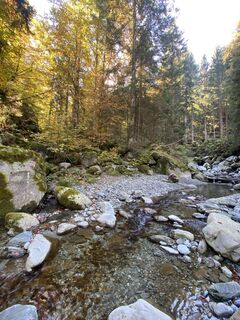 Foto von Sarosie entlang der Tour