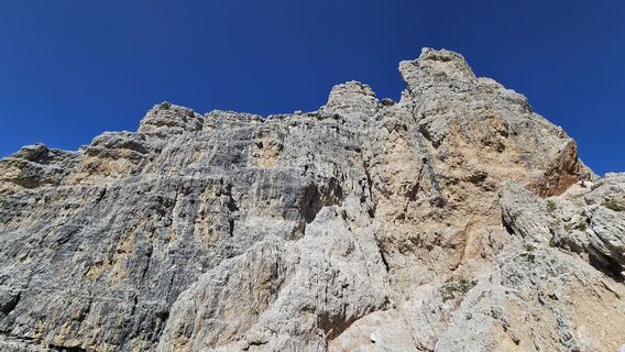 Fotografija s spletne strani Bar Tek na poti