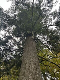 Kuva osoitteesta Corinna Schröder matkan varrella