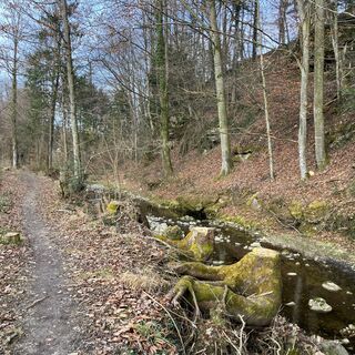 L1 Dürnbachtrails
