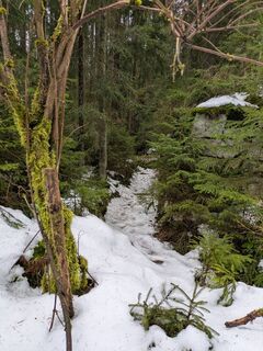 Zdjęcie z Hell-mood wzdłuż trasy