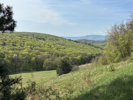 Zdjęcie z Martin1967 wzdłuż trasy