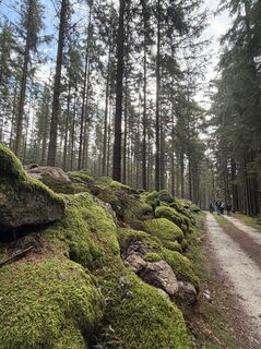 Foto von Marlene Hronicek entlang der Tour