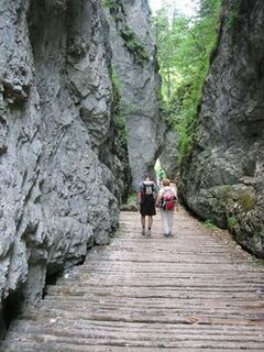 Unterwegs in der Fölzklamm. 