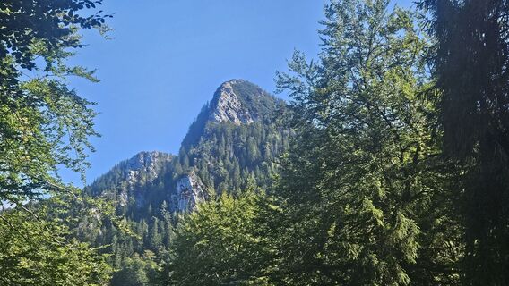 Fotografija s spletne strani RonaldG na poti