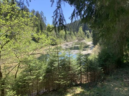 Foto von Kristina  1 entlang der Tour