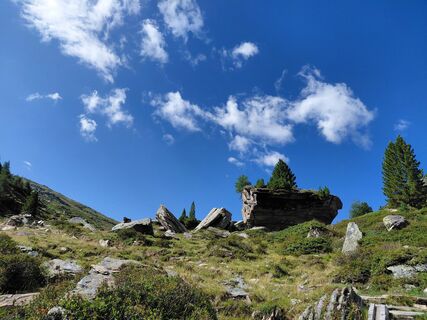 Photo de Sabine Steuxner le long du parcours