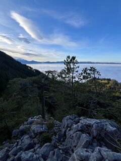 Fotografia z Aurelian Böhler na trase